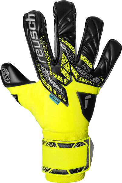 Reusch Attrakt Gold X Evolution 5570964 2025 2025 front